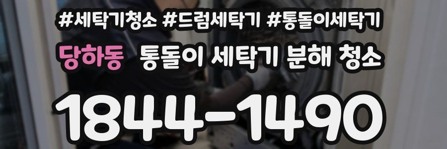 당하동 통돌이 세탁기 분해 청소