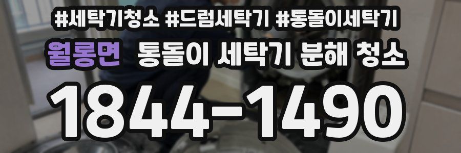 월롱면 통돌이 세탁기 분해 청소