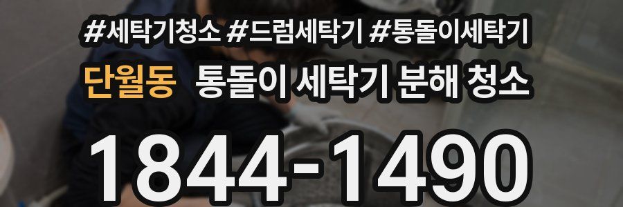 단월동 통돌이 세탁기 분해 청소