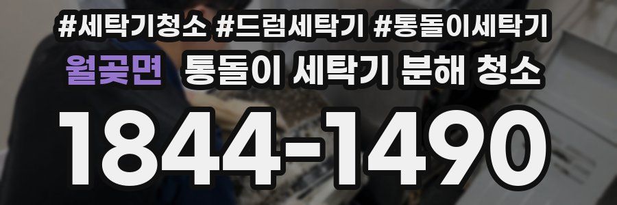 월곶면 통돌이 세탁기 분해 청소