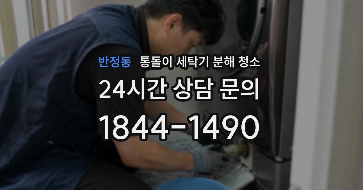 반정동 통돌이 세탁기 분해 청소