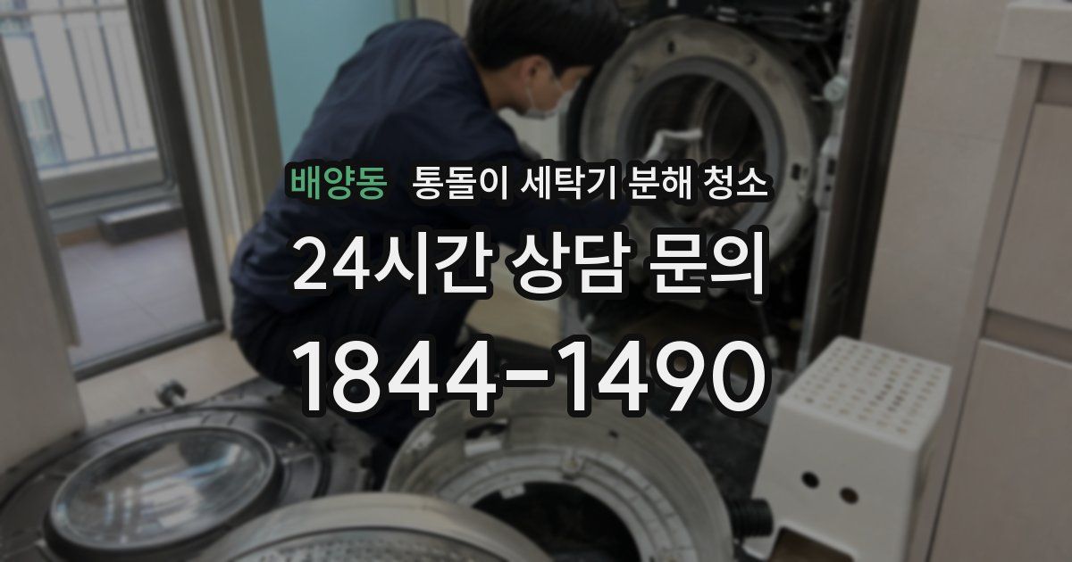 배양동 통돌이 세탁기 분해 청소