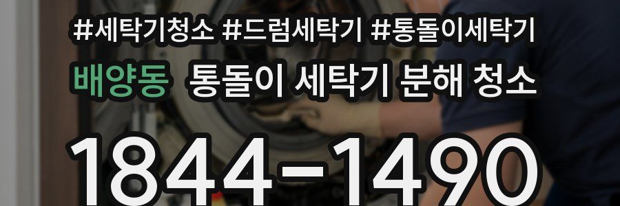배양동 통돌이 세탁기 분해 청소