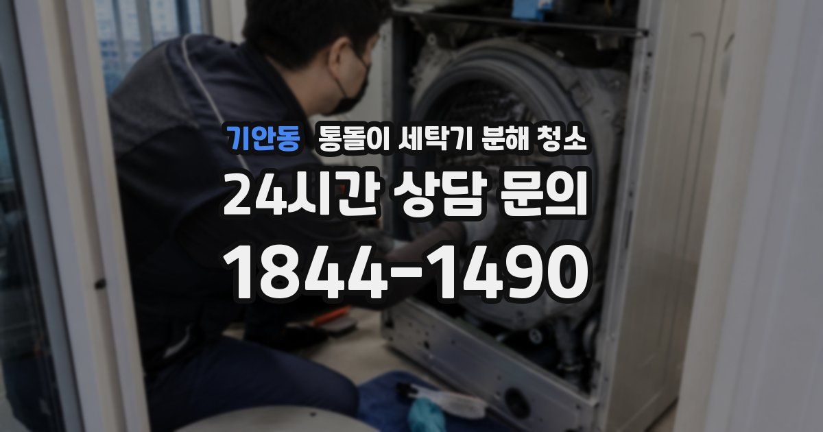 기안동 통돌이 세탁기 분해 청소
