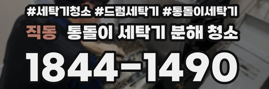 직동 통돌이 세탁기 분해 청소