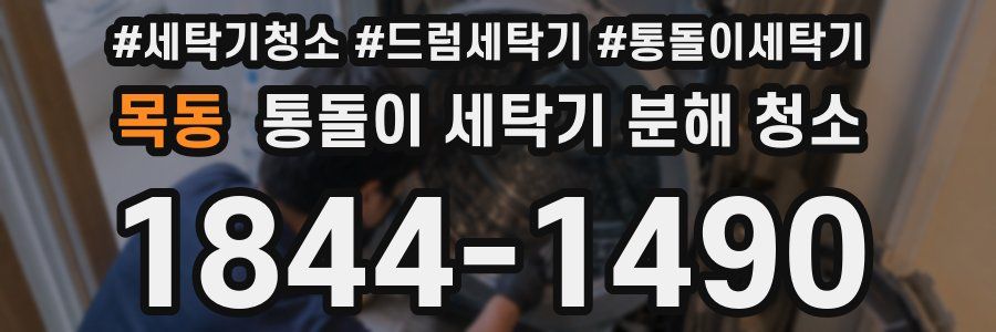 목동 통돌이 세탁기 분해 청소