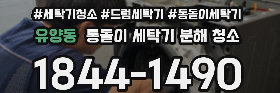 유양동 통돌이 세탁기 분해 청소