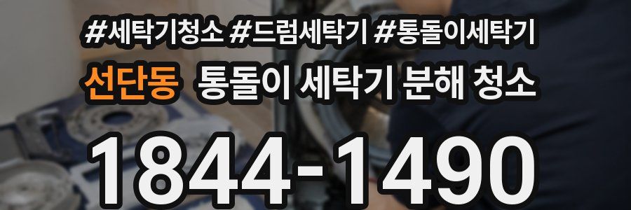 선단동 통돌이 세탁기 분해 청소