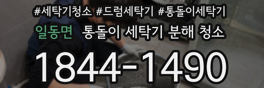 일동면 통돌이 세탁기 분해 청소