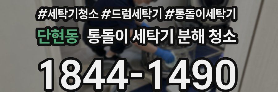 단현동 통돌이 세탁기 분해 청소