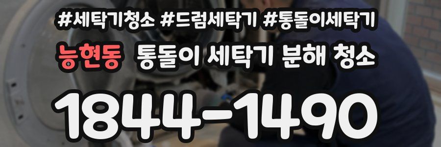 능현동 통돌이 세탁기 분해 청소