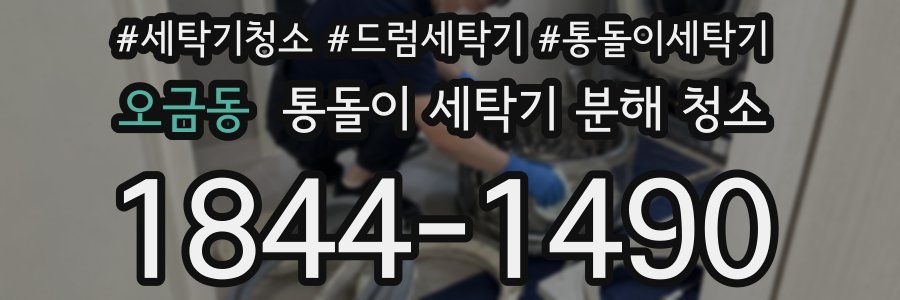 오금동 통돌이 세탁기 분해 청소