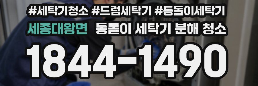 세종대왕면 통돌이 세탁기 분해 청소