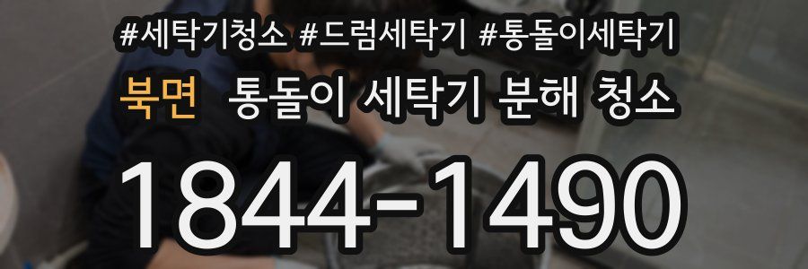 북면 통돌이 세탁기 분해 청소