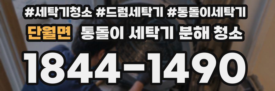 단월면 통돌이 세탁기 분해 청소