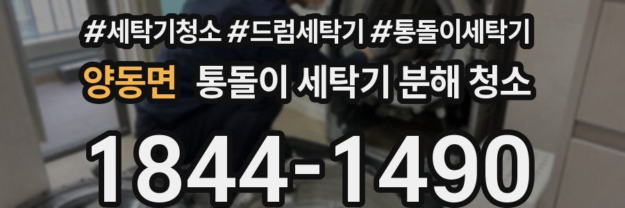 양동면 통돌이 세탁기 분해 청소