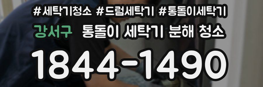 강서구 통돌이 세탁기 분해 청소