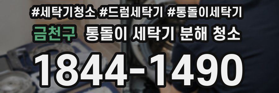 금천구 통돌이 세탁기 분해 청소
