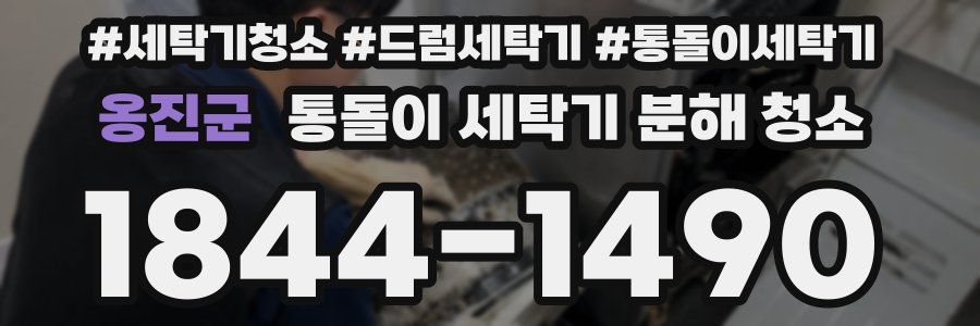 옹진군 통돌이 세탁기 분해 청소