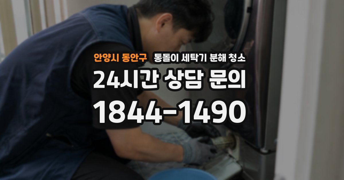 안양시 동안구 통돌이 세탁기 분해 청소