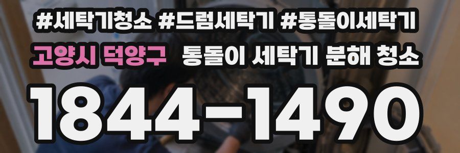 고양시 덕양구 통돌이 세탁기 분해 청소