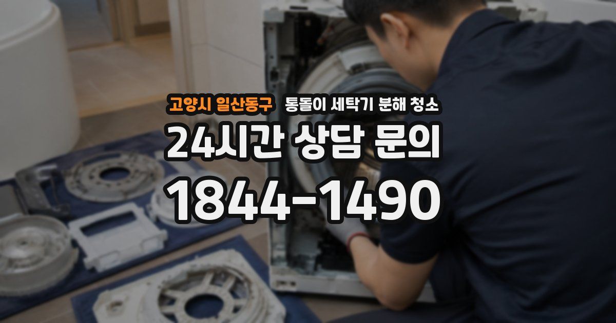 고양시 일산동구 통돌이 세탁기 분해 청소
