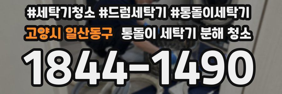고양시 일산동구 통돌이 세탁기 분해 청소