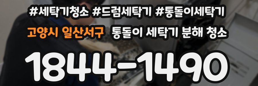 고양시 일산서구 통돌이 세탁기 분해 청소
