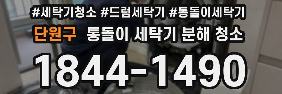 단원구 통돌이 세탁기 분해 청소