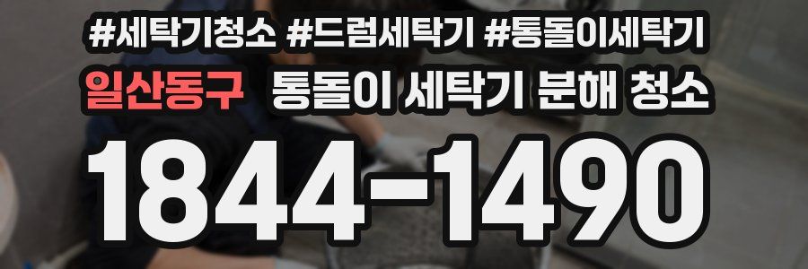 일산동구 통돌이 세탁기 분해 청소