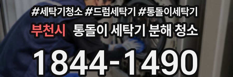 부천시 통돌이 세탁기 분해 청소