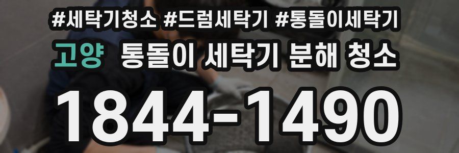 고양 통돌이 세탁기 분해 청소