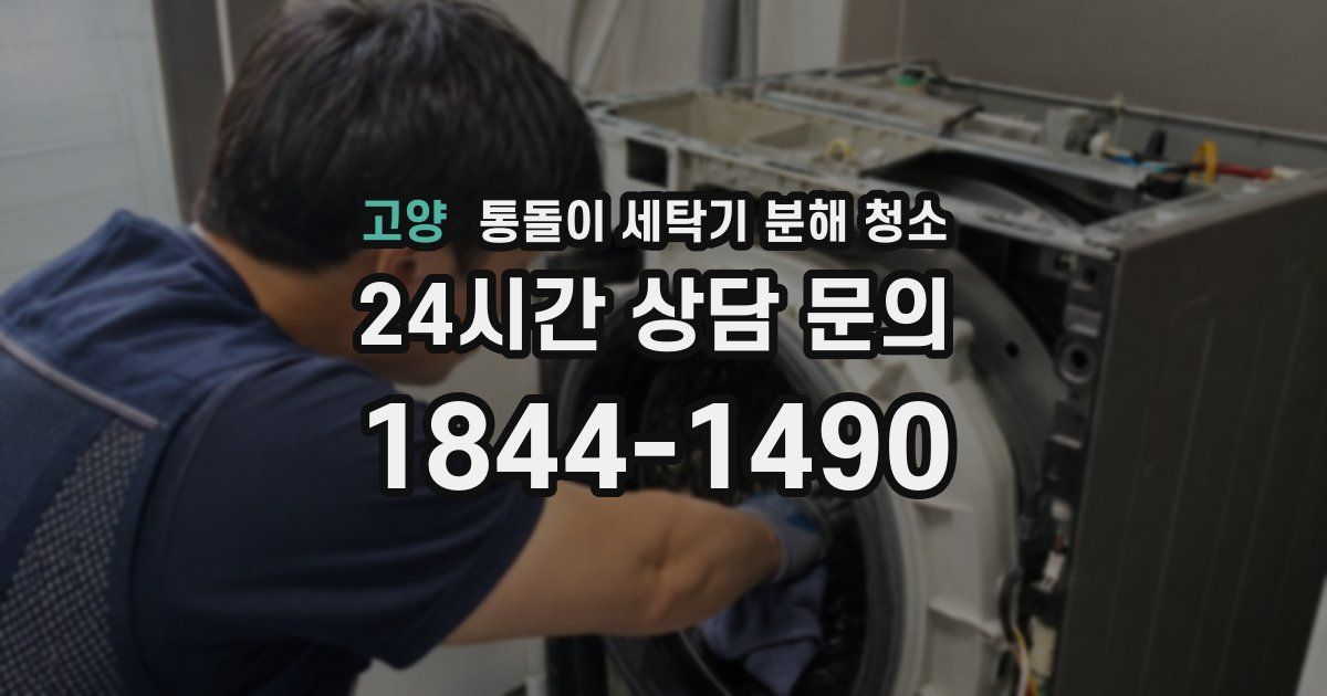 고양 통돌이 세탁기 분해 청소
