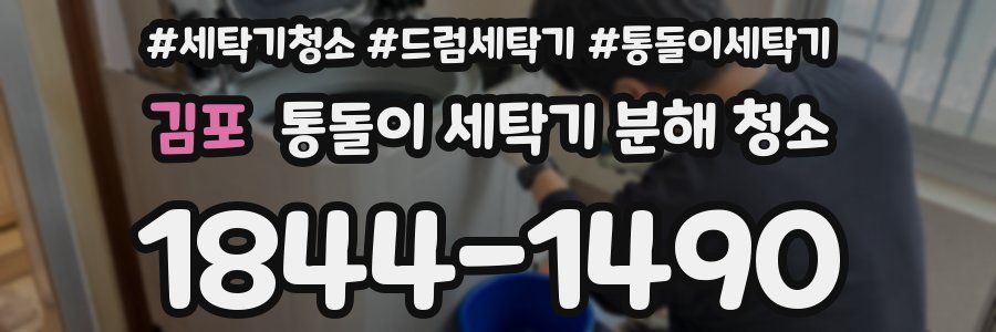 김포 통돌이 세탁기 분해 청소