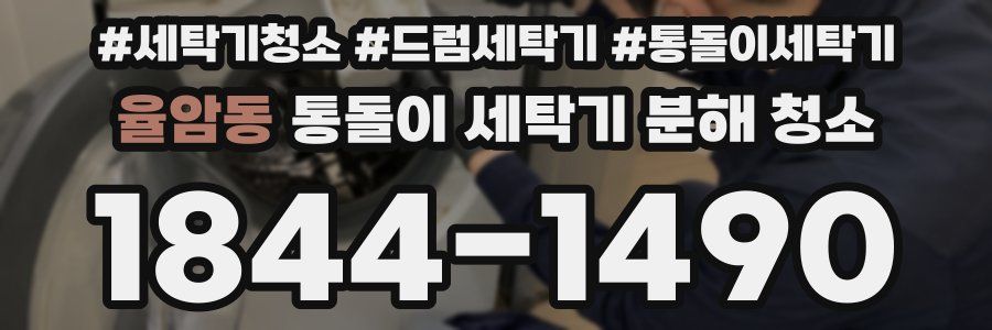 율암동 통돌이 세탁기 분해 청소