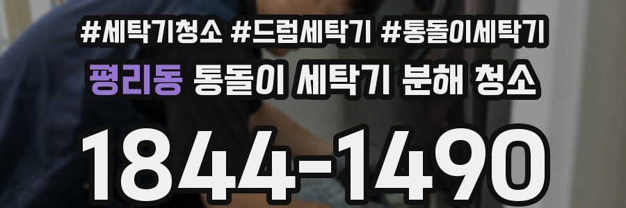 평리동 통돌이 세탁기 분해 청소