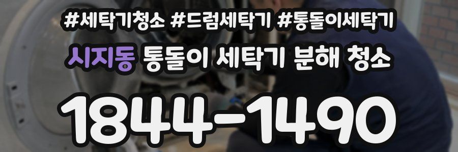 시지동 통돌이 세탁기 분해 청소