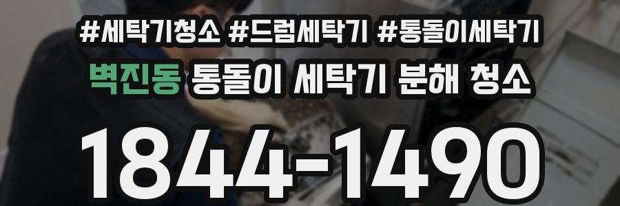 벽진동 통돌이 세탁기 분해 청소