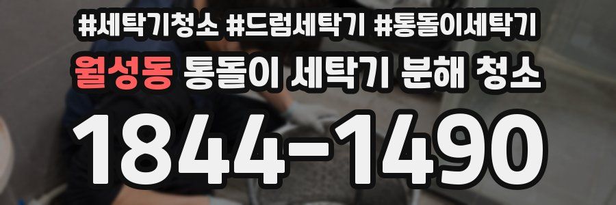 월성동 통돌이 세탁기 분해 청소