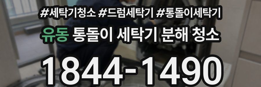 유동 통돌이 세탁기 분해 청소
