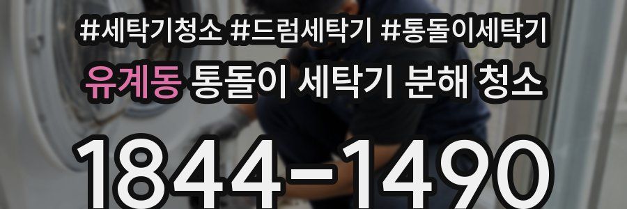 유계동 통돌이 세탁기 분해 청소