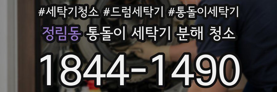 정림동 통돌이 세탁기 분해 청소