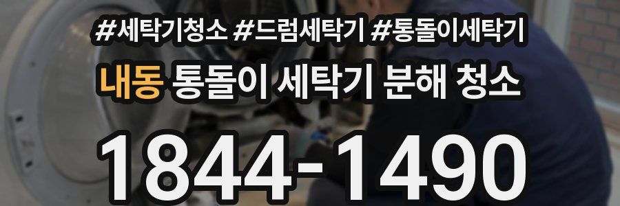 내동 통돌이 세탁기 분해 청소