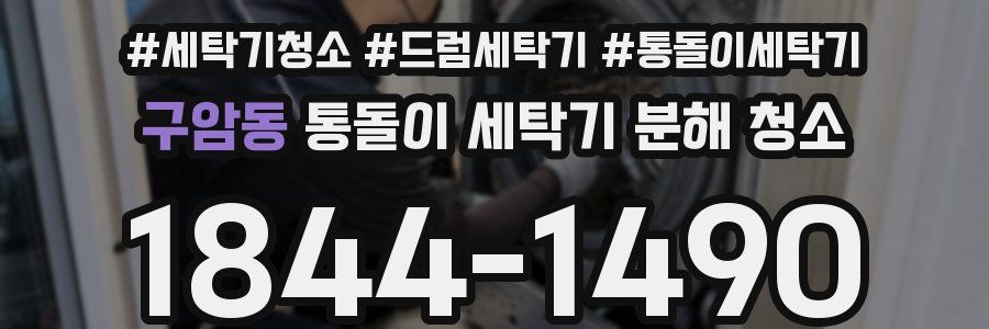 구암동 통돌이 세탁기 분해 청소