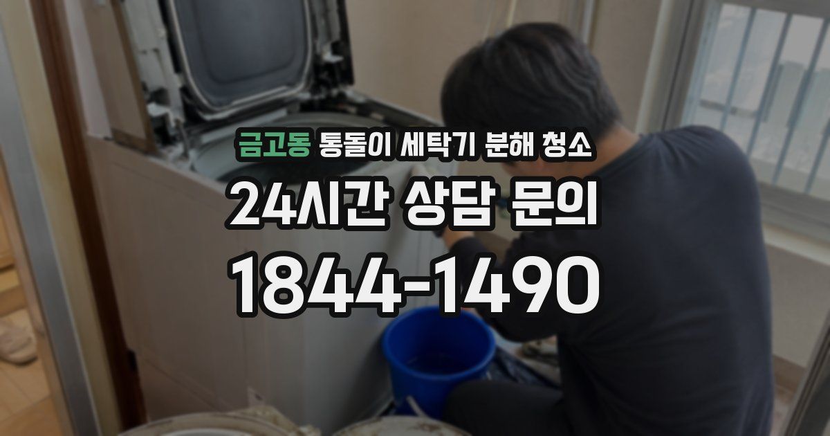 금고동 통돌이 세탁기 분해 청소