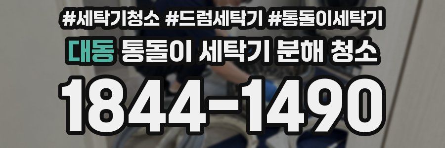 대동 통돌이 세탁기 분해 청소