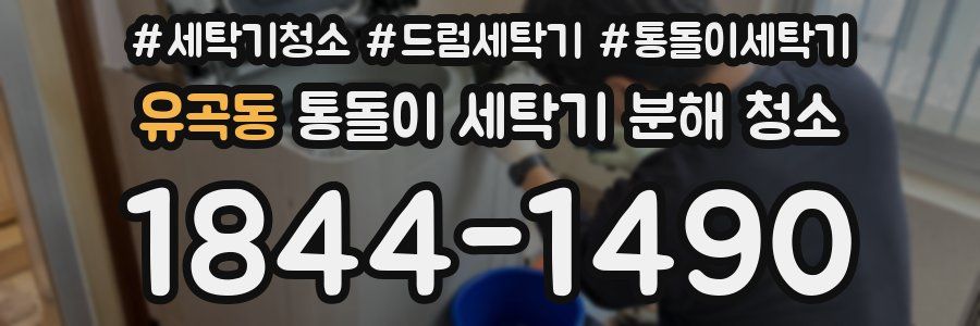 유곡동 통돌이 세탁기 분해 청소