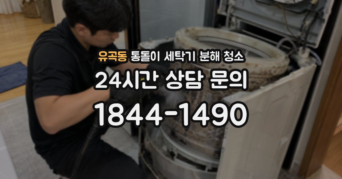 유곡동 통돌이 세탁기 분해 청소