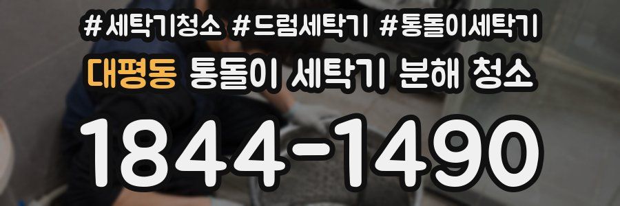 대평동 통돌이 세탁기 분해 청소