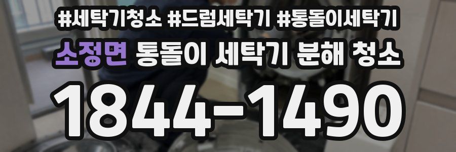 소정면 통돌이 세탁기 분해 청소
